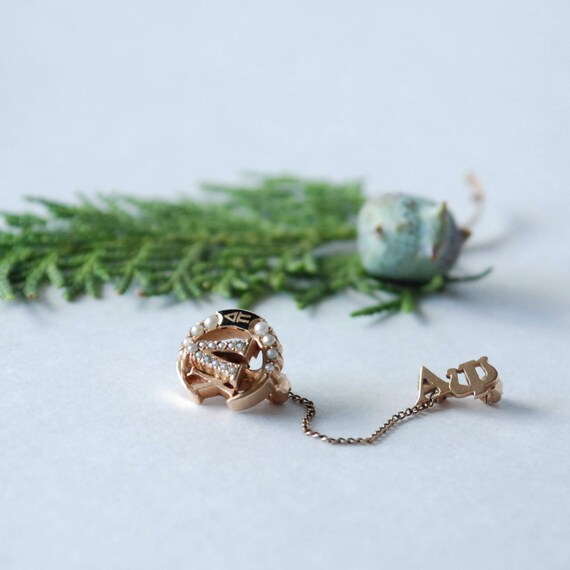 Lambda Chi Alpha Pin - Brother Badge - 2 Part Con… - image 4