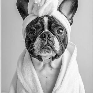 Dog in Toilet, Dog Reading Newspaper Personalized Pet Portrait Gift, Funny Bathroom Art, Dog Wall Art, Pet in Bathtub, Personalized pet gift