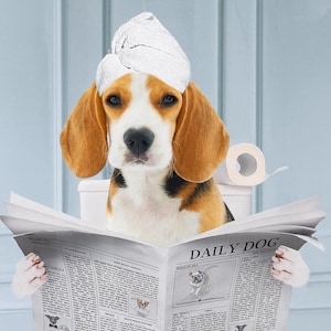 Custom Pet Bathroom Art Set of 3 Pet Portrait Funny Bathroom Art Dog Reading Newspaper on Toilet Dog Wall Art Personalized pet gift