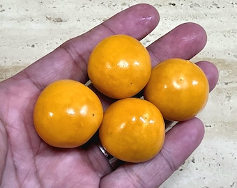200+ GIANT Poha Berry Seeds | Physalis Peruviana Golden Ground Cherry - NEW BATCH!