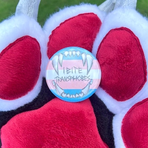 May include: A round button with the text "I BITE TRANSPHOBES" in white, set against the transgender pride flag colors. The button features a stylized design of sharp teeth. The button is set against a background of white and red plush material.