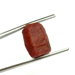 Puede incluir: Una gema en bruto, de color marrón rojizo, es sostenida por unas pinzas plateadas sobre un fondo blanco. La piedra tiene una superficie texturizada y una forma irregular, lo que sugiere que está en su estado natural, sin pulir.