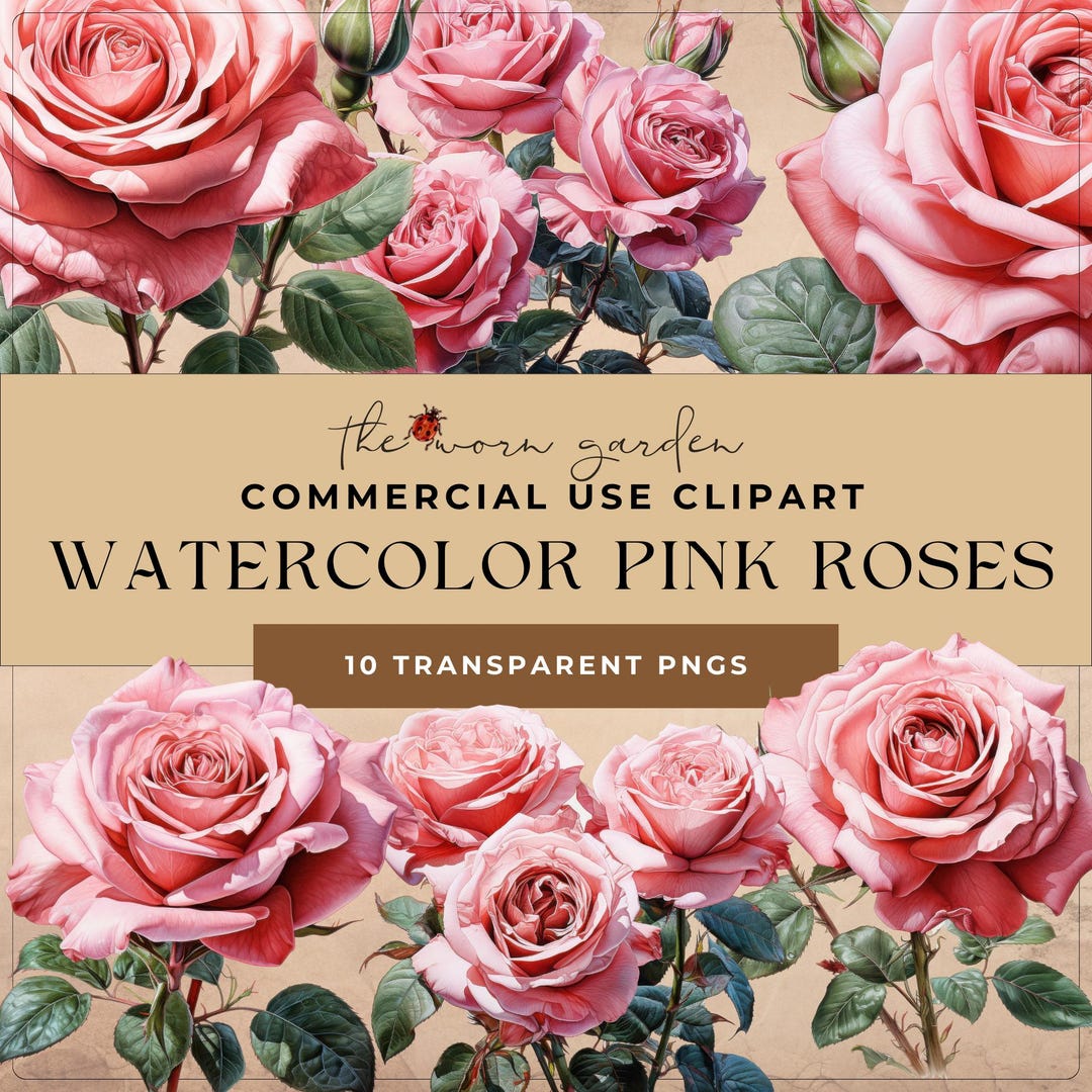 Pink Roses Watercolor Clipart – 10 Pngs | Vintage Floral Clip Art for ...