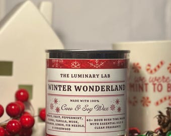 Christmas Candle/Winter Wonderland/Made With Clean Scents In Coco And Soy Wax/Christmas Decor Item