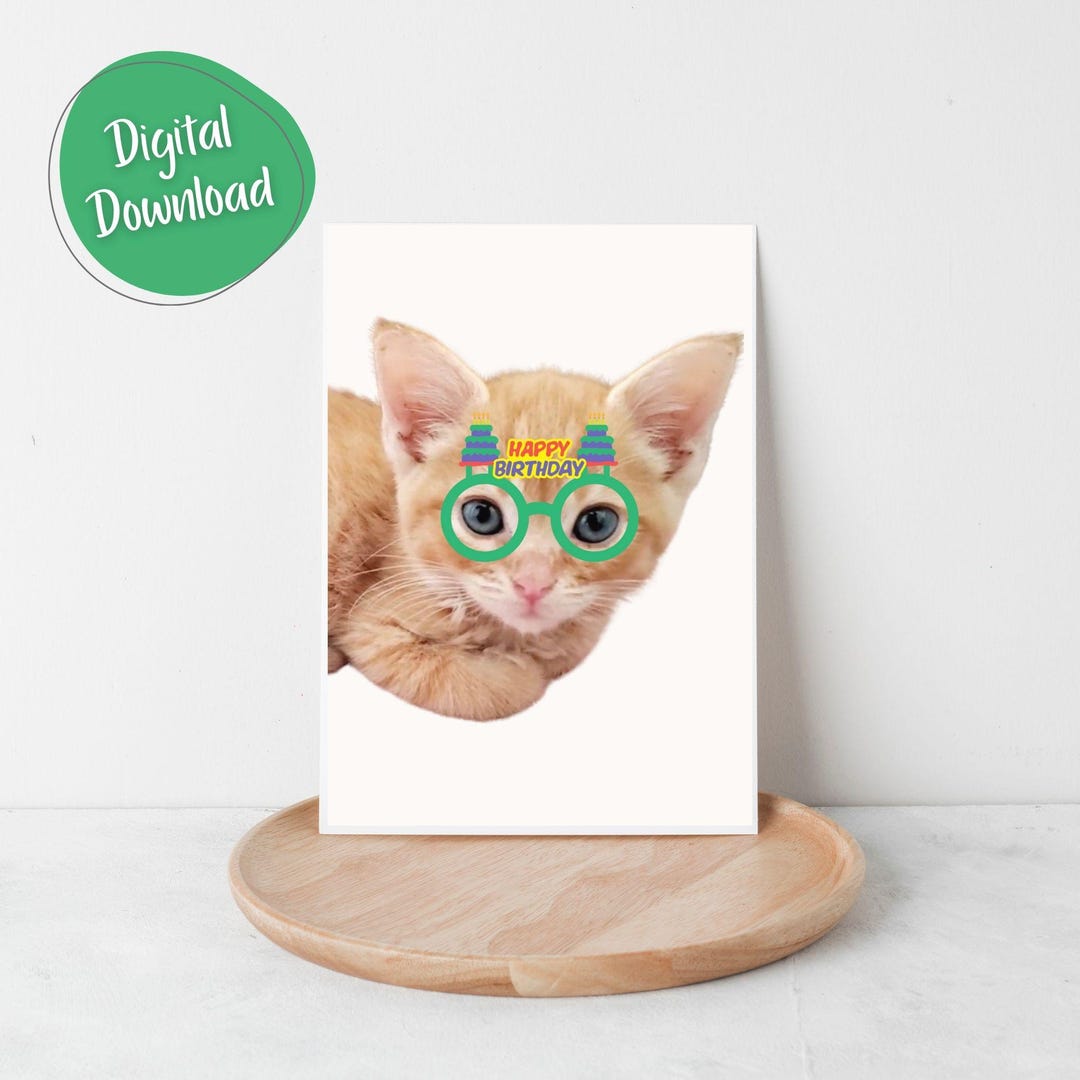 Printable Birthday Card ~ Cat Birthday Card ~ Cat Lover Gift ~ Cat ...