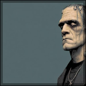 Op de afbeelding: Illustratie van Frankenstein's monster in profiel, tegen een teal achtergrond in een zwart kader. Het gezicht van het monster is gedetailleerd met lijnen en schaduwen, met een strenge uitdrukking. Hij draagt een zwart shirt en een ketting.