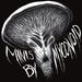 Owner of <a href='https://www.etsy.com/shop/MyconoidMinis?ref=l2-about-shopname&from_page=listing' class='wt-text-link'>MyconoidMinis</a>