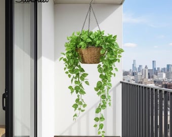 36-Inch 2pc Small Pothos Hanging Bush