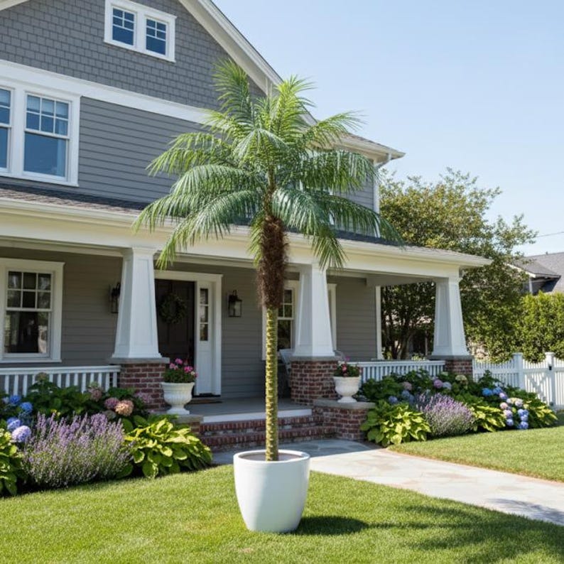 Puede incluir: Una palmera alta en una maceta blanca frente a una casa gris con un porche blanco. La casa tiene una base de ladrillo y est&aacute; rodeada de hierba verde, flores coloridas y una valla blanca.