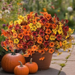 May include: A large brown planter filled with a dense arrangement of small artificial flowers in shades of yellow, orange, and deep red. Two smooth orange pumpkins sit on the ground in front of the planter, one larger than the other.