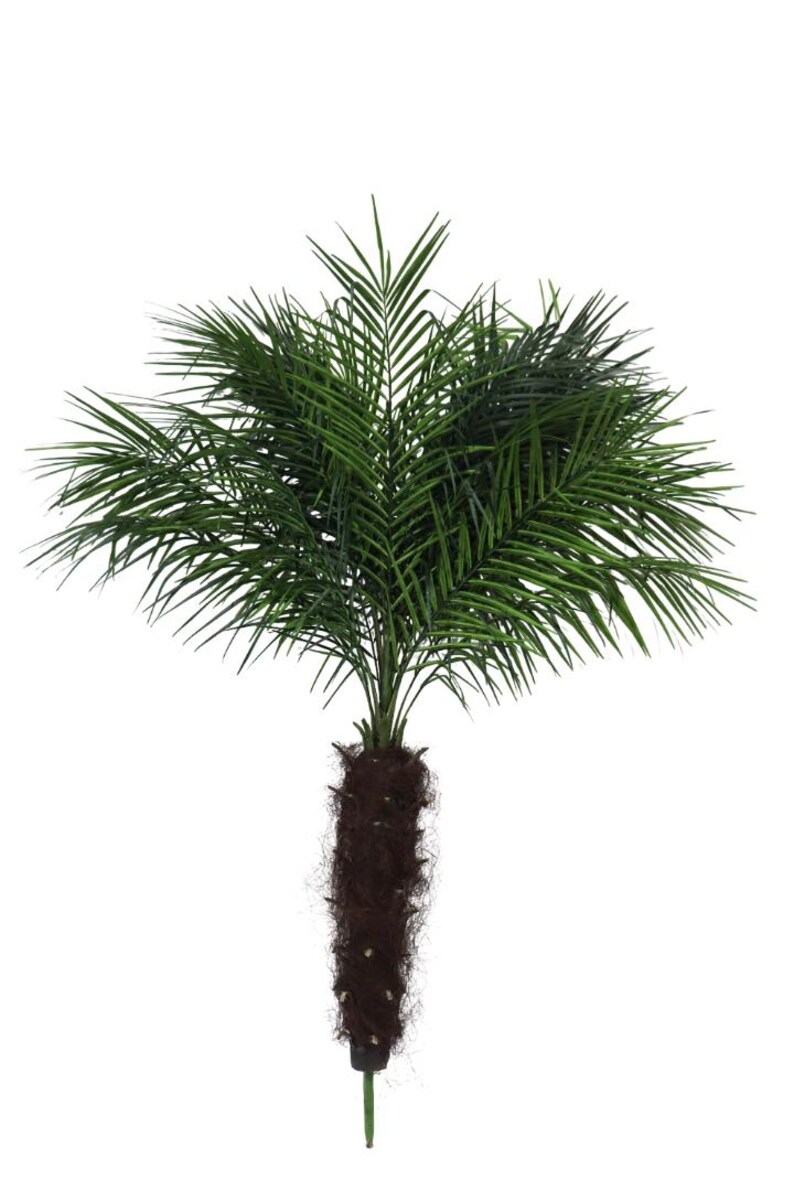 Puede incluir: Una palmera artificial verde con un tronco marr&oacute;n y hojas plumosas. La base del tronco est&aacute; cubierta de fibras marrones. El &aacute;rbol est&aacute; sobre un fondo blanco.