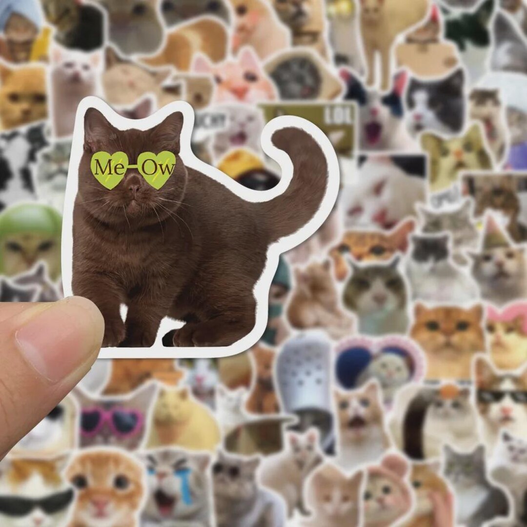 Fun Sticker Cat Leader Funny Cat Stickers 50/100pcs - Etsy