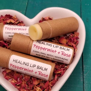 Cardboard Lip Balms | Clean Ingredients | Biodegradable Compostable | Sensitive Skin | Chapped Lips | Plastic Free | Robin's Nest Seattle