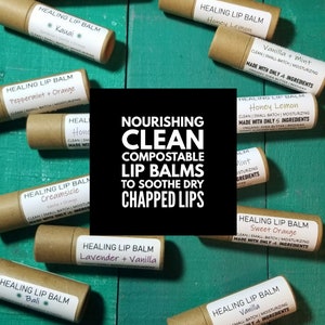 Cardboard Lip Balms | Clean Ingredients | Biodegradable Compostable | Sensitive Skin | Chapped Lips | Plastic Free | Robin's Nest Seattle