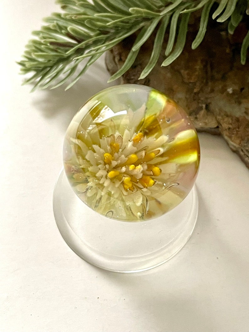 Soft glass marble in yellow white and green  by Glass Art Revealed