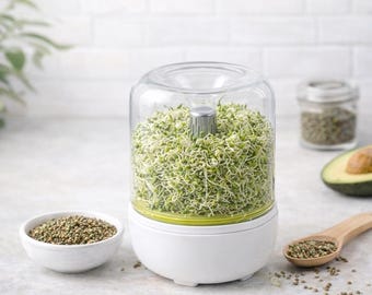 Sprouting Jar with Broccoli Seeds 50g  | Microgreens Starter, Gut Health Greens