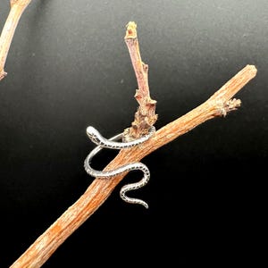 May include: A silver snake ring wrapped around a brown twig. The ring features a detailed scale pattern and a curved head. The background is a solid black, which highlights the ring and twig.