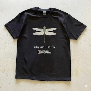 Op de afbeelding: Zwart T-shirt met een libellenontwerp met witte vleugels en een groene kop. De tekst "why am i so fly" staat eronder, met het National Geographic-logo. Het T-shirt heeft een ronde hals.