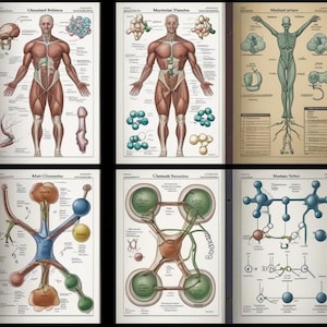 Beautifully crafted medical notes for Anatomy, Physiology & Biochemistry
