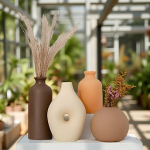 May include: A collection of decorative vases in various shapes and colors. The vases are in shades of brown, beige, and orange, with dried plants and flowers. The vases are arranged on a white surface, with a blurred green background.