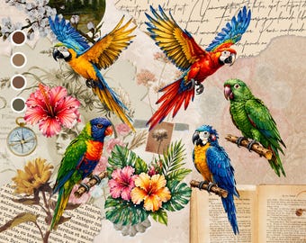Clipart de loros tropicales: guacamayos y aves exóticas (descarga digital)