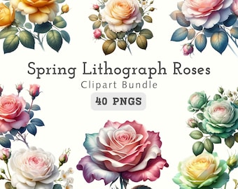 Paquete de imágenes prediseñadas de rosas de primavera, 40 flores de acuarela, Canva y descarga digital
