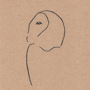 Owl Drawing/Simple Wilderness Drawing/Minimalistic Drawing/Animal Drawing