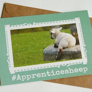 Apprenticesheep - Linda ovelha irlandesa - Cartão engraçado da Irlanda