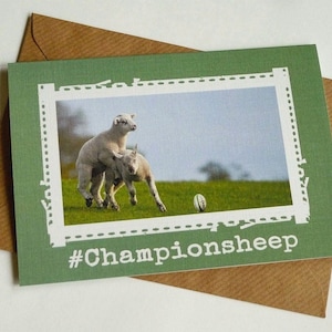 Championsheep-schattige Ierse schapen-grappige wenskaart uit Ierland