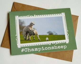 Championsheep - Cute Irish Sheep - Funny Greeting Card from Ireland