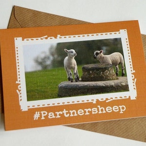 Cartolina d'auguri divertente Partnersheep - Cute pecore irlandese - Irlanda