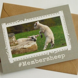 Cartolina d'auguri divertente Membersheep - Cute pecore irlandese - Irlanda