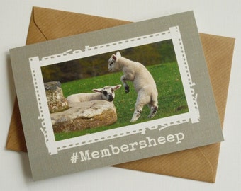 Membersheep - Cute Irish Sheep - Funny Greeting Card from Ireland