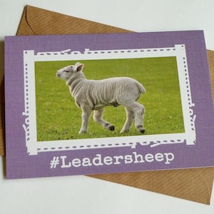Cartolina d'auguri divertente Leadersheep - Cute pecore irlandese - Irlanda