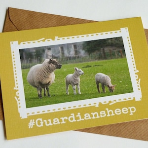 Cartolina d'auguri divertente Guardiansheep - Cute pecore irlandese - Irlanda