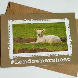 Cartolina d'auguri divertente Landownersheep - Cute pecore irlandese - Irlanda
