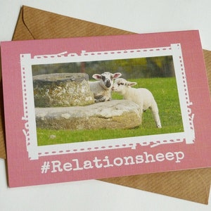 Cartolina d'auguri divertente Relationsheep - Cute pecore irlandese - Irlanda