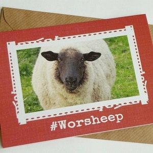 Cartolina d'auguri divertente Worsheep - Cute pecore irlandese - Irlanda
