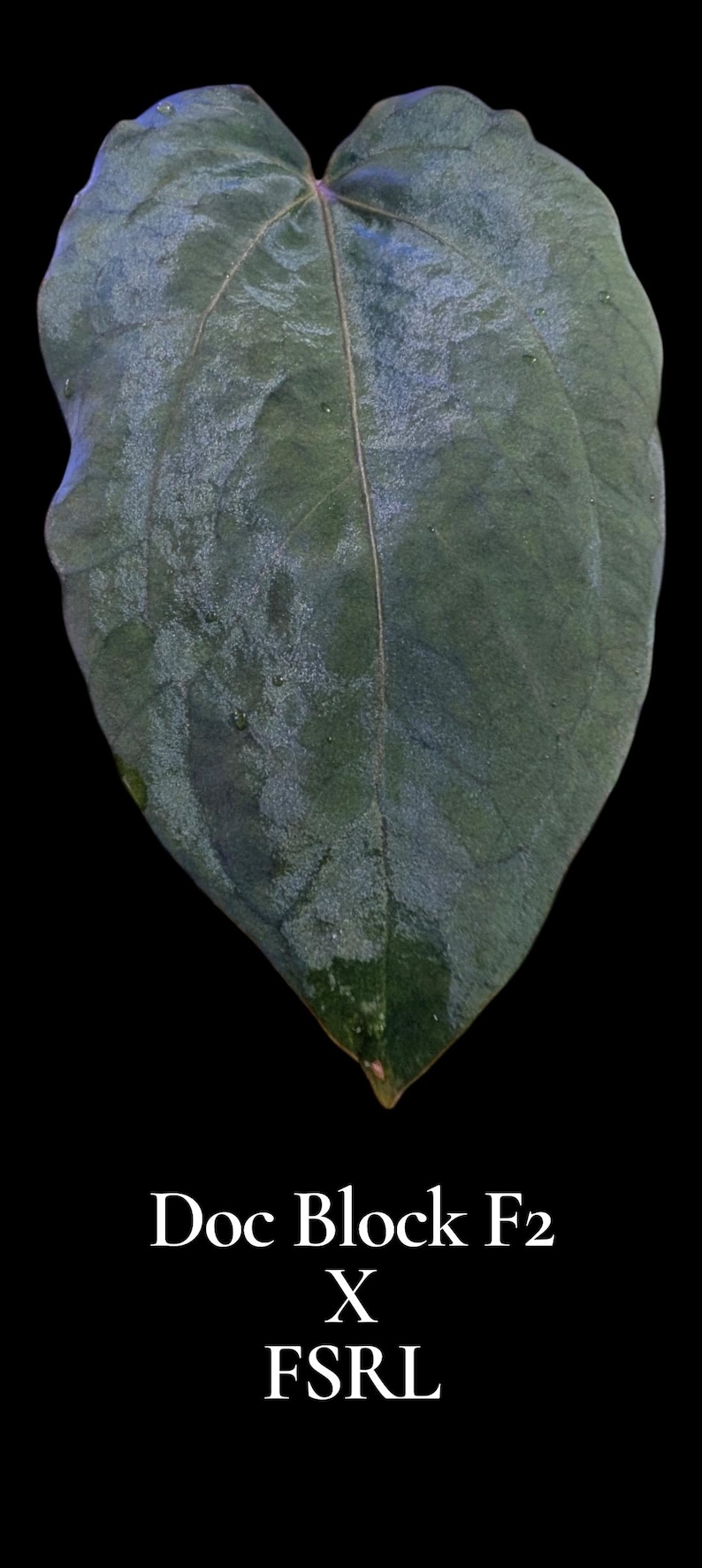 May include: A white ceramic mug with a black handle and the text "But First, Coffee" in a bold, black font. The mug is set against a blurred background, suggesting a cozy setting.