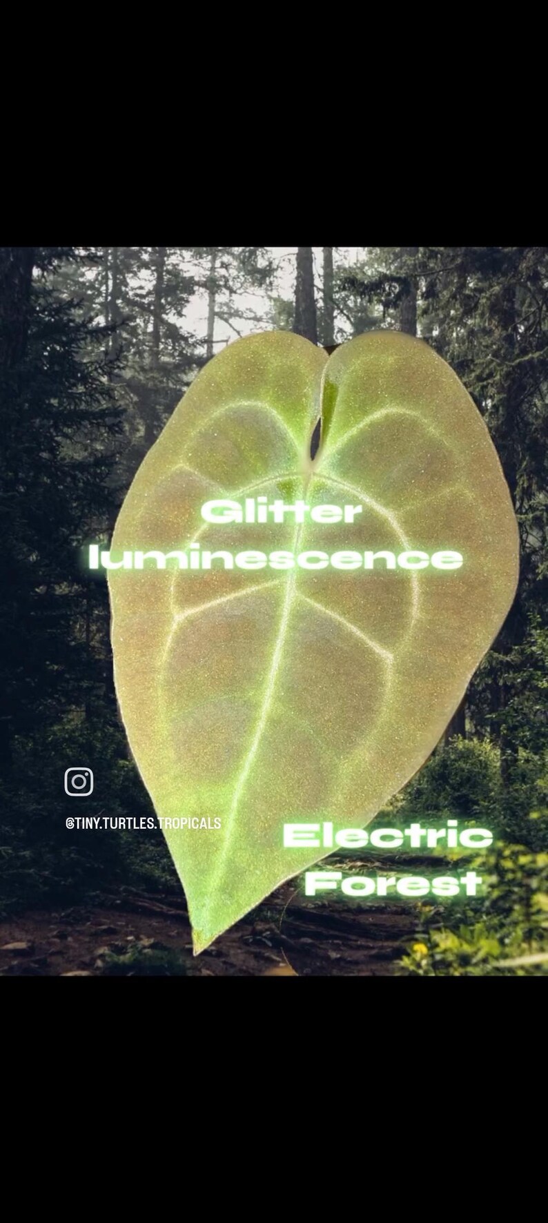 May include: A heart-shaped green leaf with a shimmering texture and prominent veins, overlaid with the text Glitter luminescence and Electric Forest, plus the Instagram handle @TINY.TURTLES.TROPICALS, set against a dark forest background.