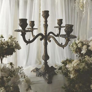 Victorian Style Brass Candelabra: 5-Arm Antique Italian Candle Holder