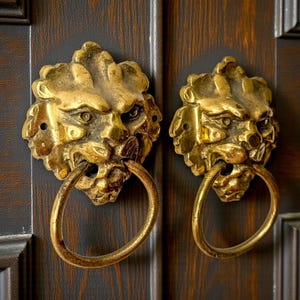 May include: Two antique brass door knockers. Each knocker is in the shape of a lion's head with a ring in its mouth. The knockers are mounted on a dark brown wooden door.