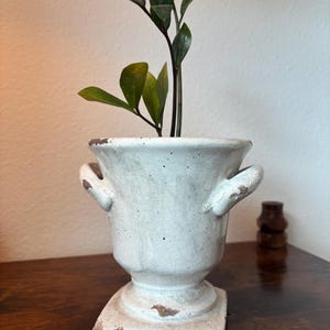 Peut inclure: Un cache-pot en céramique blanche de style urne avec deux anses latérales et une base carrée. La finition présente un motif de glaçure craquelée visible et des taches brunes usées sur les bords. Une plante ZZ verte pousse au centre.