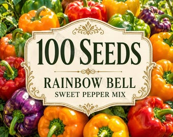 100 Heirloom Rainbow Bell Pepper Seeds – Mixed Sweet Capsicum Annuum (Seeds Only)