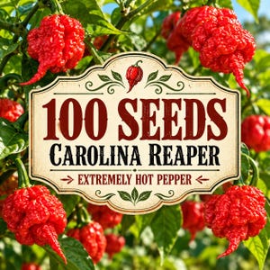 100 Carolina Reaper Pepper Seeds – Extremely Hot Chili Pepper for Planting, Rare Heirloom Garden