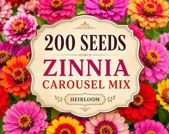 200 Heirloom Zinnia Carousel Mix Frön – Färgglada Karnevalsblommor för Trädgårdar