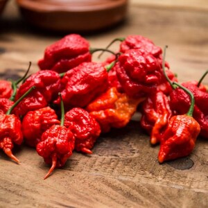 Peut inclure: Un tas de piments Carolina Reaper rouge vif avec des tiges vertes, posés sur une surface en bois rustique. Les piments ont une texture ridée et une forme distinctive, révélant leur chaleur intense.