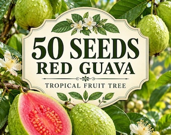 50 Red Guava Seeds | Tropical Fruit Tree Seeds  | Home Garden Planting