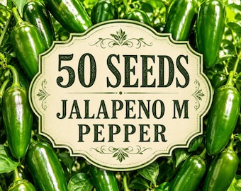 50 Jalapeño M Pepper Seeds – Heirloom Hot Chili for Vegetable Garden