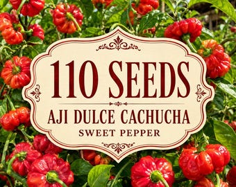 110 Aji Dulce Cachucha Pepper Seeds – Heirloom Caribbean Sweet Pepper (Capsicum chinense)
